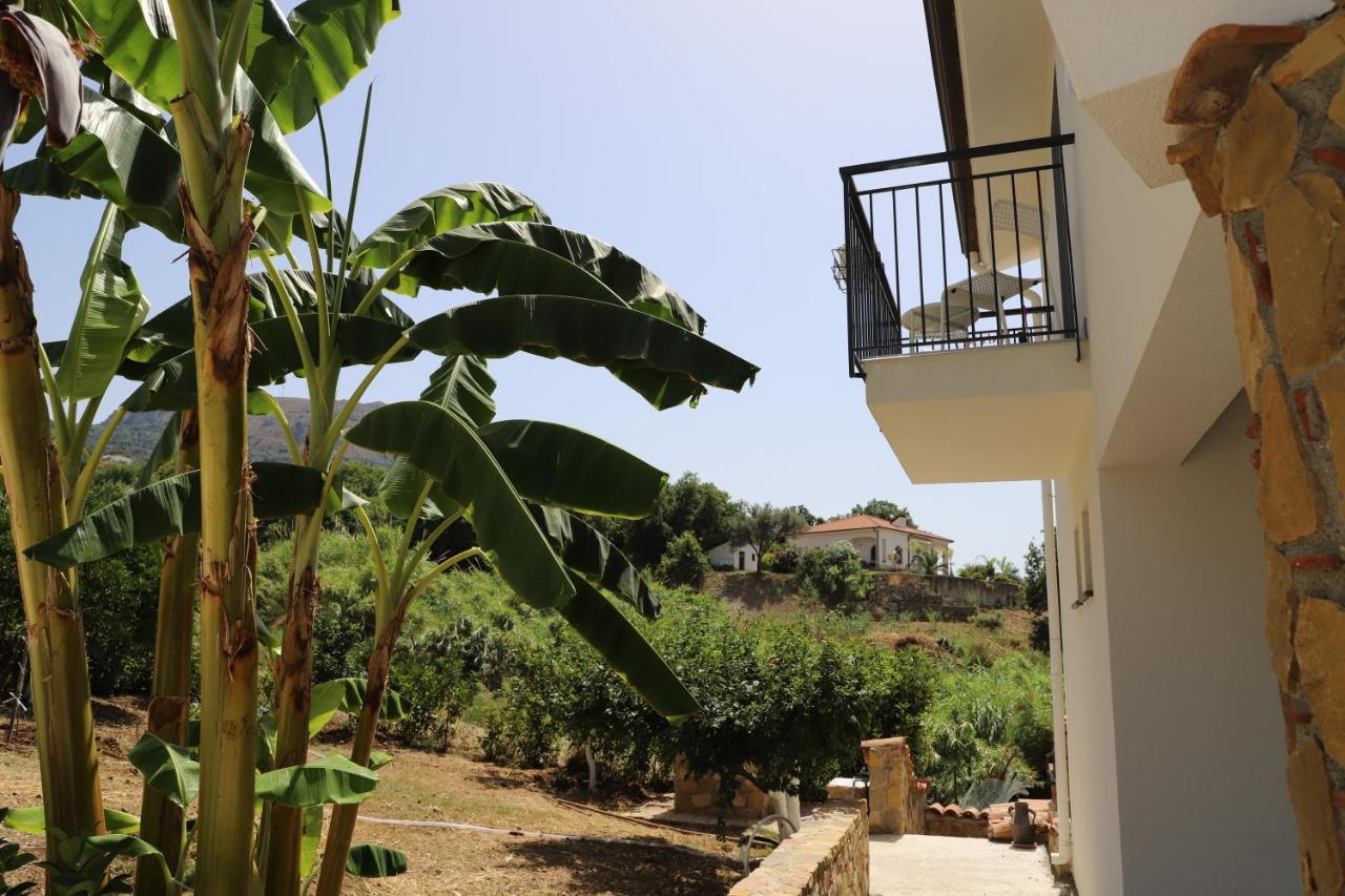 Bed and Breakfast Assabinirica Acquedolci Exterior foto